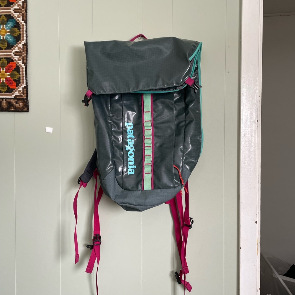Patagonia Backpack